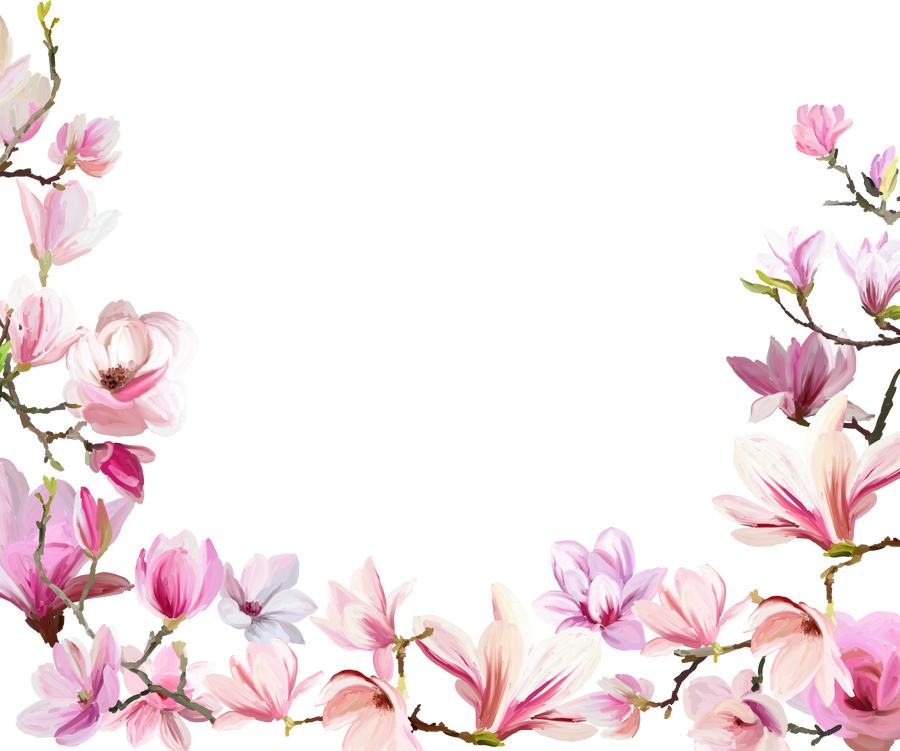 Frame of magnolia flowers. Floral spring template