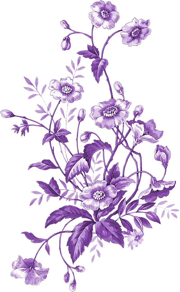 Purple Flowers Illustration 